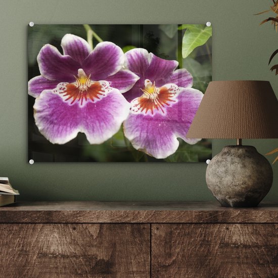 ® Glasschilderij 40x30 cm - Schilderij acrylglas - Wilde orchidee - Foto op glas - Muurdecoratie woonkamer - Wanddecoratie slaapkamer - Schilderijen