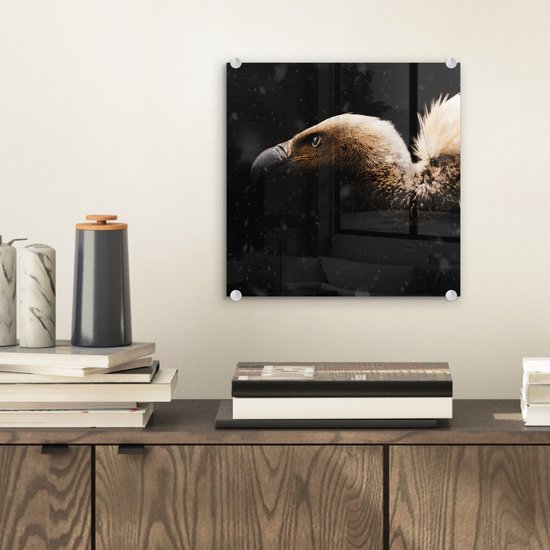 MuchoWow® Peinture sur verre 20x20 cm - Peinture acrylique sur verre - Vautour - Wit - Zwart - Photo sur verre - Peintures