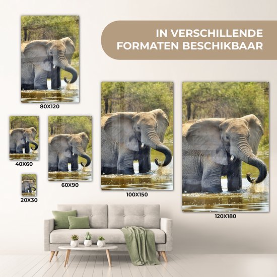 MuchoWow® Peinture sur verre 100x150 cm - Peinture sur verre acrylique - Éléphant - Water - Animaux - Nature - Photo sur verre - Peintures