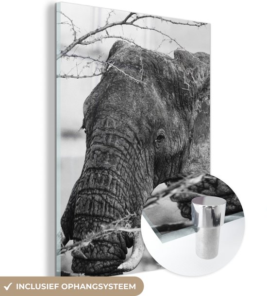 MuchoWow® Glasschilderij 90x120 cm - Schilderij acrylglas - Olifant - Dieren - Takken - Natuur - Zwart wit - Foto op glas - Schilderijen