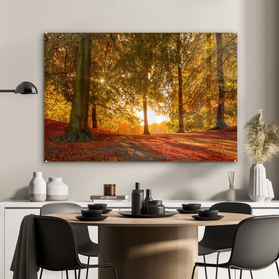 MuchoWow® Glasschilderij 120x80 cm - Schilderij acrylglas - Herfst - Zon - Bos - Foto op glas - Schilderijen