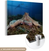 MuchoWow® Glasschilderij 120x90 cm - Schilderij acrylglas - Octopus op de bodem van de zee - Foto op glas - Schilderijen
