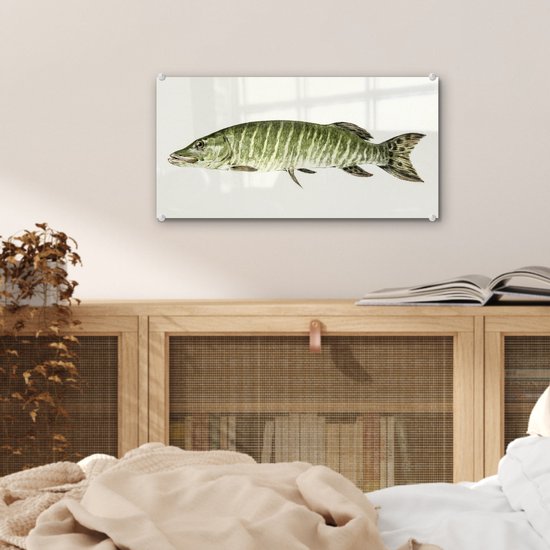 MuchoWow® Peinture sur Verre - Brochet - Peinture de Jean Bernard - 40x20 cm - Peintures sur Verre Acrylique - Photo sur Glas