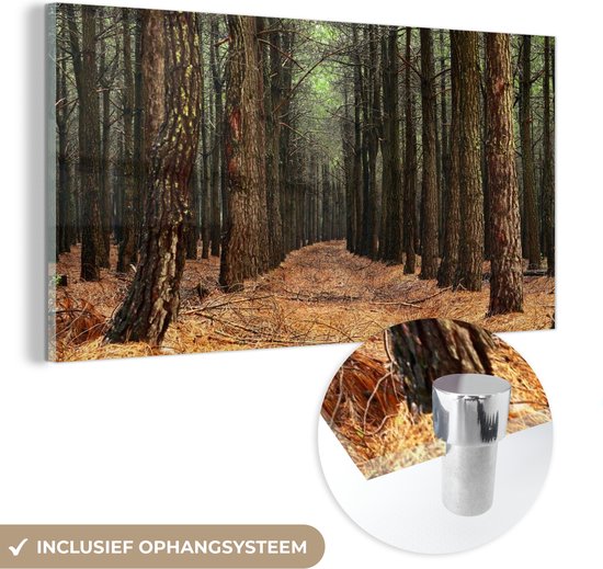 MuchoWow® Glasschilderij 40x20 cm - Schilderij acrylglas - Herfst - Landelijke decoratie - Bos - Foto op glas - Schilderijen