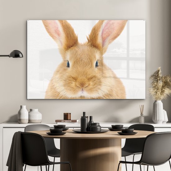 MuchoWow® Peinture sur verre 120x80 cm - Peinture sur verre acrylique - Enfants - Lapin - Enfant - Filles - Garçons - Photo sur verre - Peintures
