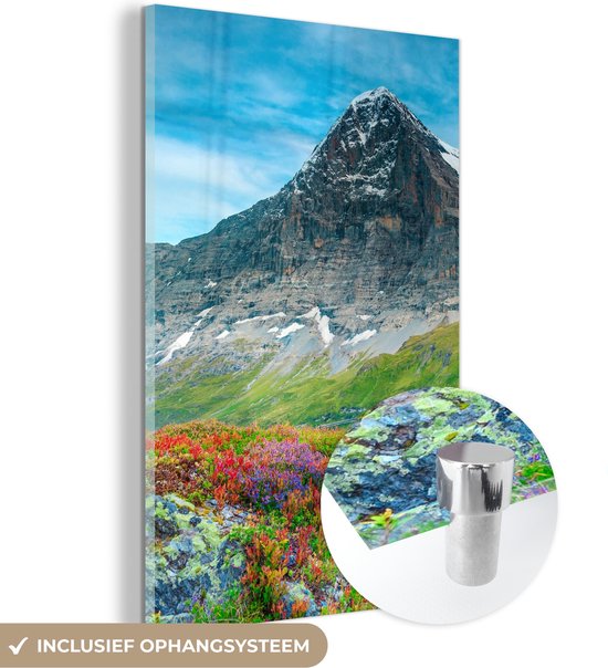 MuchoWow® Glasschilderij 40x60 cm - Schilderij acrylglas - Bloemen - Berg - Sneeuw - Landschap - Foto op glas - Schilderijen
