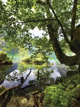Fotobehang Tree Lake Nature | XXL - 206cm x 275cm | 130g/m2 Vlies