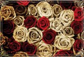 Fotobehang Flowers Roses Red White Vintage | XL - 208cm x 146cm | 130g/m2 Vlies