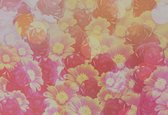 Fotobehang Flowers Nauture | XXL - 312cm x 219cm | 130g/m2 Vlies