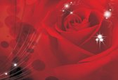 Fotobehang Flower Rose Red  | PANORAMIC - 250cm x 104cm | 130g/m2 Vlies