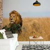 Fotobehang - Vlies Behang - Leeuw in de Natuur - 416 x 290 cm