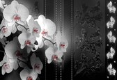 Fotobehang Flowers Floral | XXXL - 416cm x 254cm | 130g/m2 Vlies