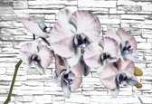 Fotobehang Flowers Orchids Texture | XXL - 312cm x 219cm | 130g/m2 Vlies