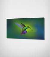 Hummingbird Canvas