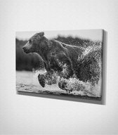 Bear Jumping Out Of Water Canvas | 40x60 cm