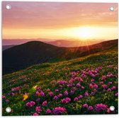 Tuinposter – Zonsondergang Verdwijnend achter Gebergte vol Paarse Bloemen - 50x50 cm Foto op Tuinposter (wanddecoratie voor buiten en binnen)