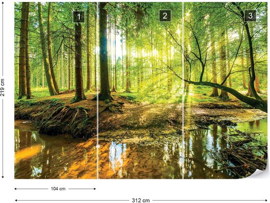 Trois panneaux de papier peint photo représentant une forêt ensoleillée, avec des dimensions de 312x219 cm.