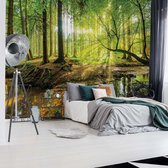 Fotobehang - Zonnig Bos met een Beek - Bomen - Natuur - Vliesbehang - 416 x 254 cm (4 behangvellen)