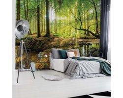 Fotobehang - Zonnig Bos met een Beek - Bomen - Natuur - Vliesbehang - 416 x 254 cm (4 behangvellen)