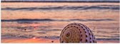 Poster (Mat) - Zee - strand - Schelp - Zonsondergang - 60x20 cm Foto op Posterpapier met een Matte look