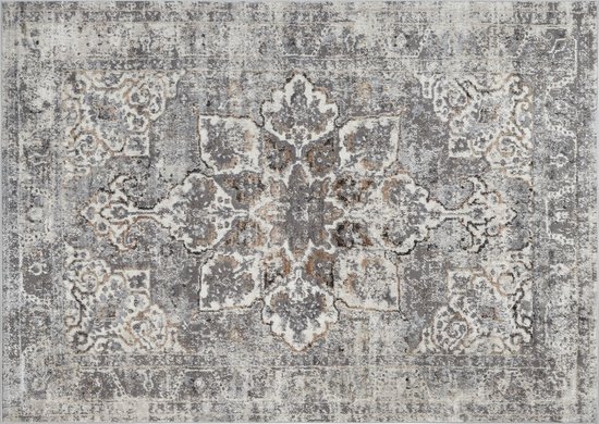 Tapiso Valley Tapis Salon Chambre Gris Clair Cadre Design Moderne Fleurs Durable Vintage Haute Qualité Tapis Taille - 200x300