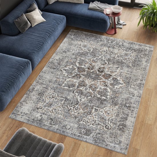 Tapiso Valley Tapis Salon Chambre Gris Clair Cadre Design Moderne Fleurs Durable Vintage Haute Qualité Tapis Taille - 200x300
