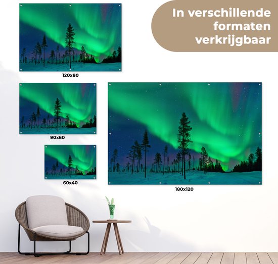 Posters de jardin Aurores boréales - Suède - Arbre - 90x60 cm