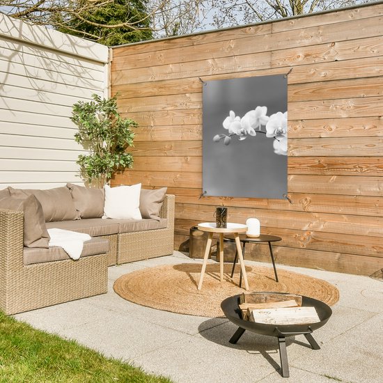 Tableau jardin Orchidée - Fleurs - Plante - Wit - Violet - 60x80 cm - Affiche jardin - Toile jardin - Affiche extérieur
