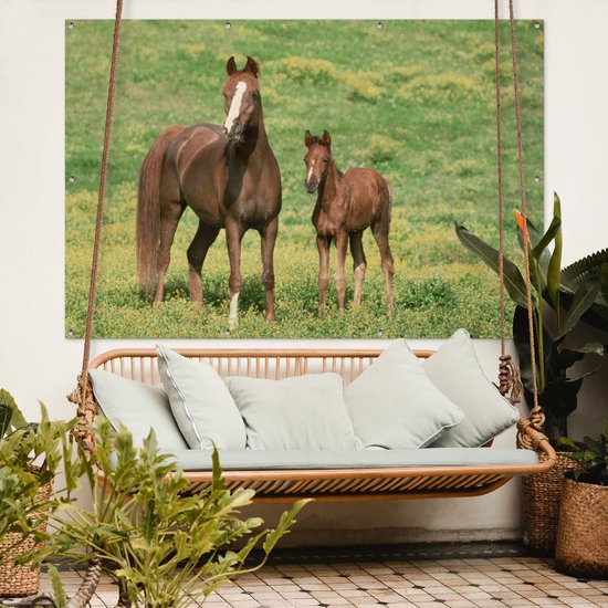 Décoration murale murale Paarden - Herbe - Marron - 180x120 cm - Affiche de jardin - Toile de jardin - Poster extérieur