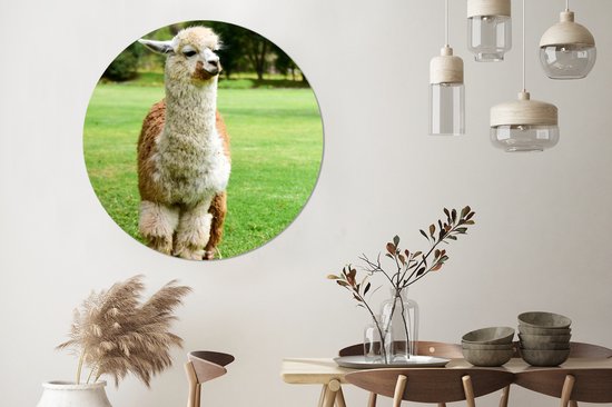 WallCircle - Wall Circle - Wall Circle Indoor - Alpaga - Wit - Marron - Arbre - 150x150 cm - Décoration murale - Peintures Ronds