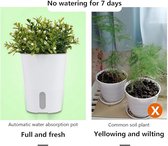 Set van 10 zelfwaterende bloempotten, zelfwaterende potten met waterpeilindicator, gietpot, kruidenpot, bewateringssysteem voor binnen en buiten (9,5cm)