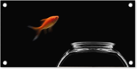 Affiche de jardin Poisson rouge - Bocal à poissons - Zwart - 60x30 cm - Toile de jardin