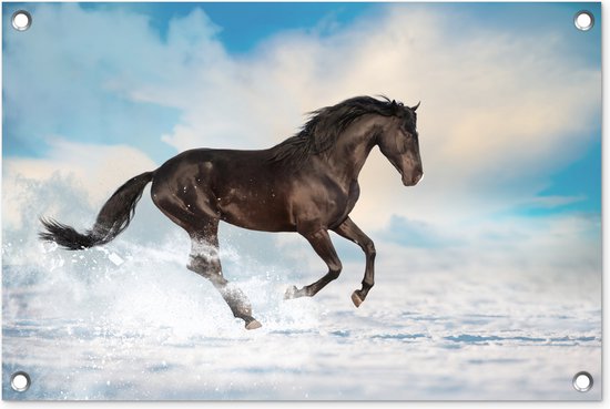 Tuindecoratie Zwart paard in de sneeuw - 60x40 cm - Tuinposter - Tuindoek - Buitenposter
