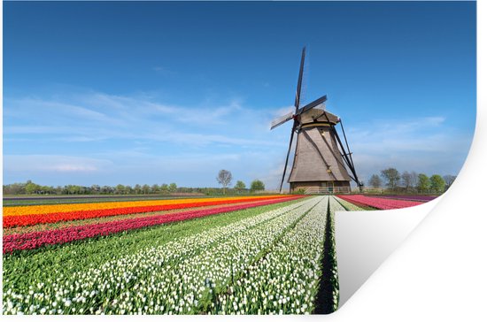 Muurstickers - Sticker Folie - Molen tussen de tulpen in Nederland - 90x60 cm - Plakfolie - Muurstickers Kinderkamer - Zelfklevend Behang - Zelfklevend behangpapier - Stickerfolie