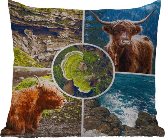 Buitenkussen - Schotse hooglander - Dieren - Natuur - 45x45 cm - Weerbestendig