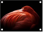 Tuin decoratie Flamingo - Veren - Roze - 40x30 cm - Tuindoek - Buitenposter
