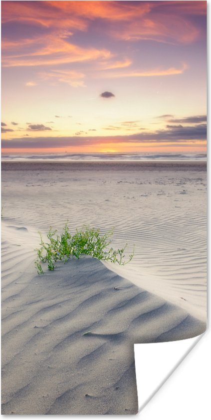 Affiche Coucher de soleil dans un paysage aux Pays- Nederland - 80x160 cm