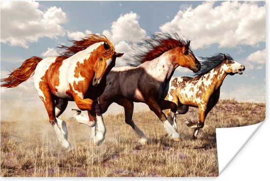 Poster Paarden - Dieren - Gras - Vacht