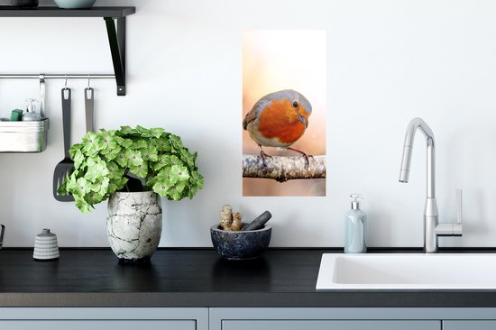 Affiche Robin - Branche - Arbre - 20x40 cm