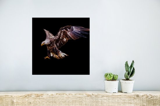Affiche Aigle - Vogel - Ressorts - 30x30 cm