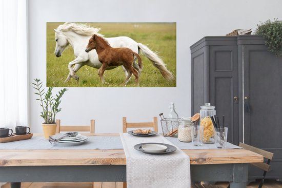 Affiche Paarden - Animaux - Herbe - 150x75 cm