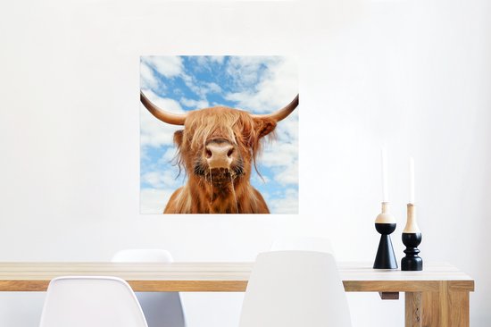 Affiche Highlander écossais - Nuage - Animaux - 50x50 cm