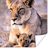 Affiche Lionne - Lion - Cub - 100x100 cm XXL