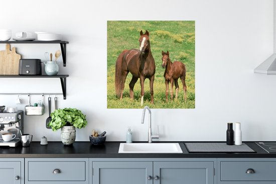 Affiche Paarden - Herbe - Marron - 75x75 cm