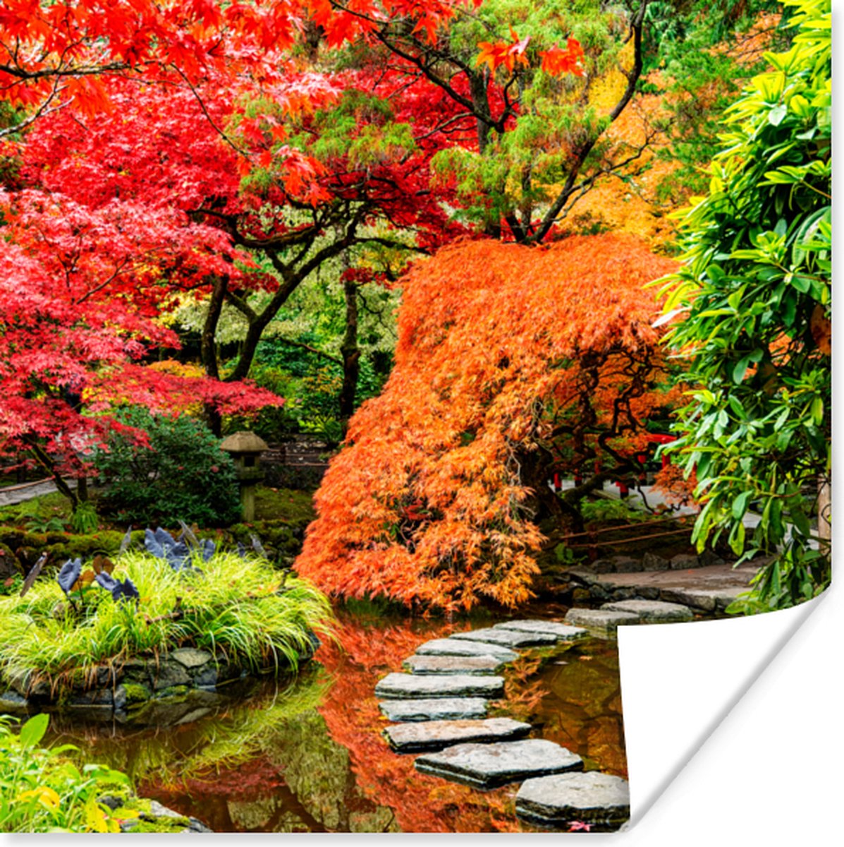 Poster Bomen - Japans - Stenen - Pad - Natuur - 75x75 cm