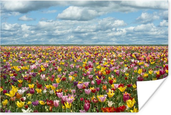 Poster Tulpen - Kleuren - Wolken - 30x20 cm