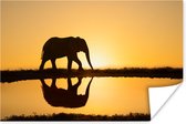 Silhouet olifant bij zonsondergang Poster 60x40 cm - Foto print op Poster (wanddecoratie)