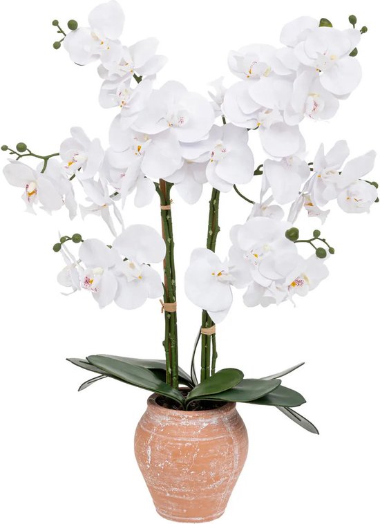 Atmosphera Orchidee bloemen kunstplant in sierlijke terracotta bloempot - witte bloemen - H65 cm