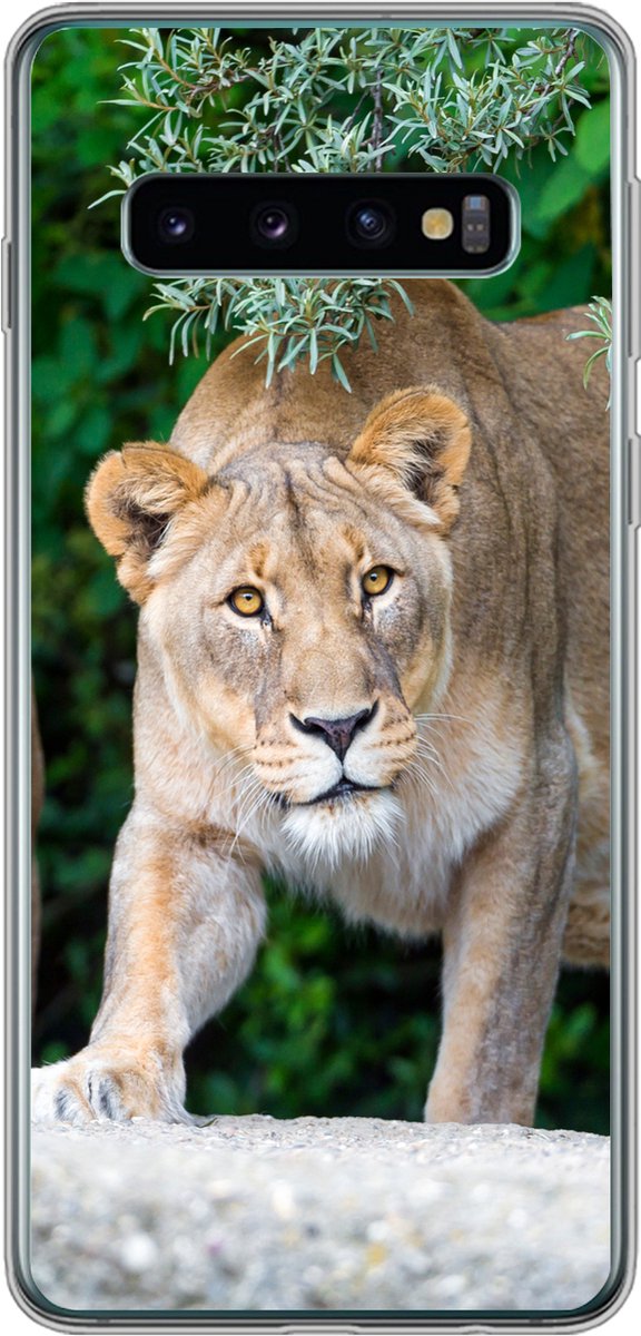 Telefoonhoesje Geschikt voor Samsung Galaxy S10 hoesje - Leeuwinnen - Wilde dieren - Jacht - Siliconen Telefoonhoesje Telefoonhoesje
