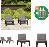 vidaXL Loungestoelen 2 st met kussens kunststof grijs Tuinstoel Inclusief Onderhoudsset
